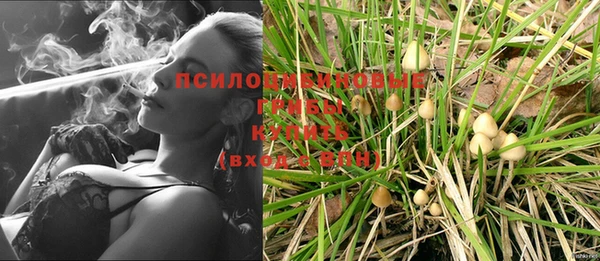 COCAINE Заводоуковск