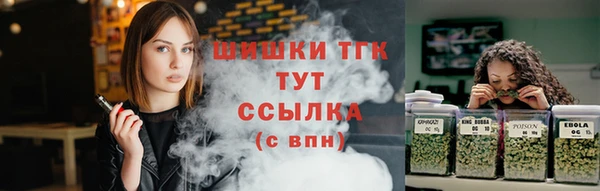 индика Елизово