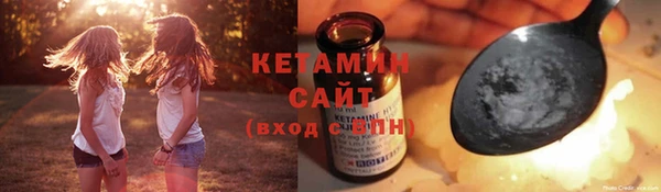 индика Елизово