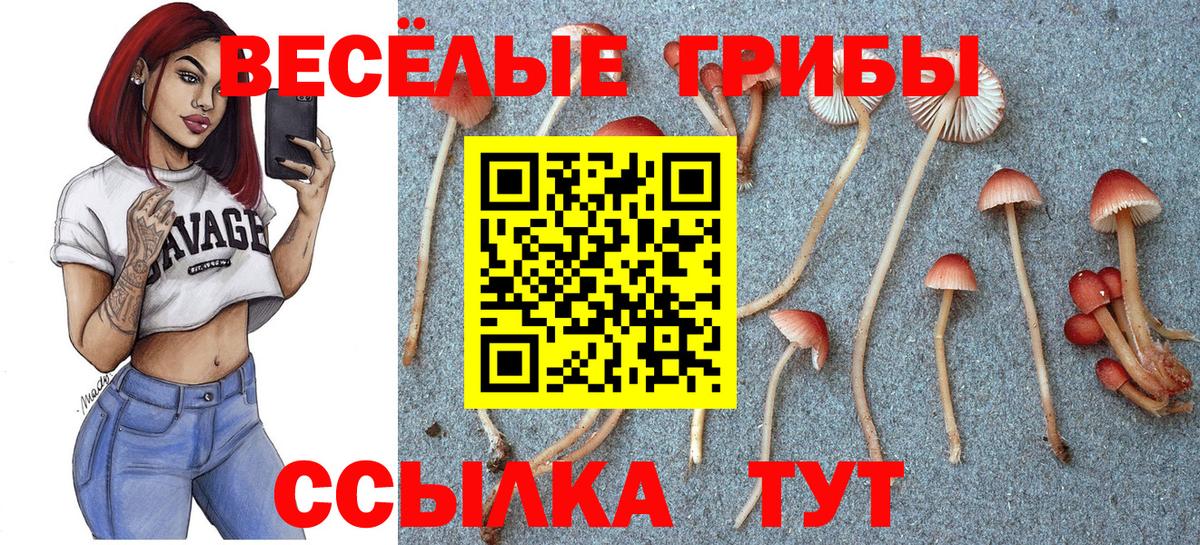 Псилоцибиновые грибы ЛСД Заводоуковск