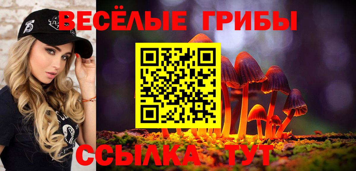 Заводоуковск  Псилоцибиновые грибы ЛСД  Вход с VPN 